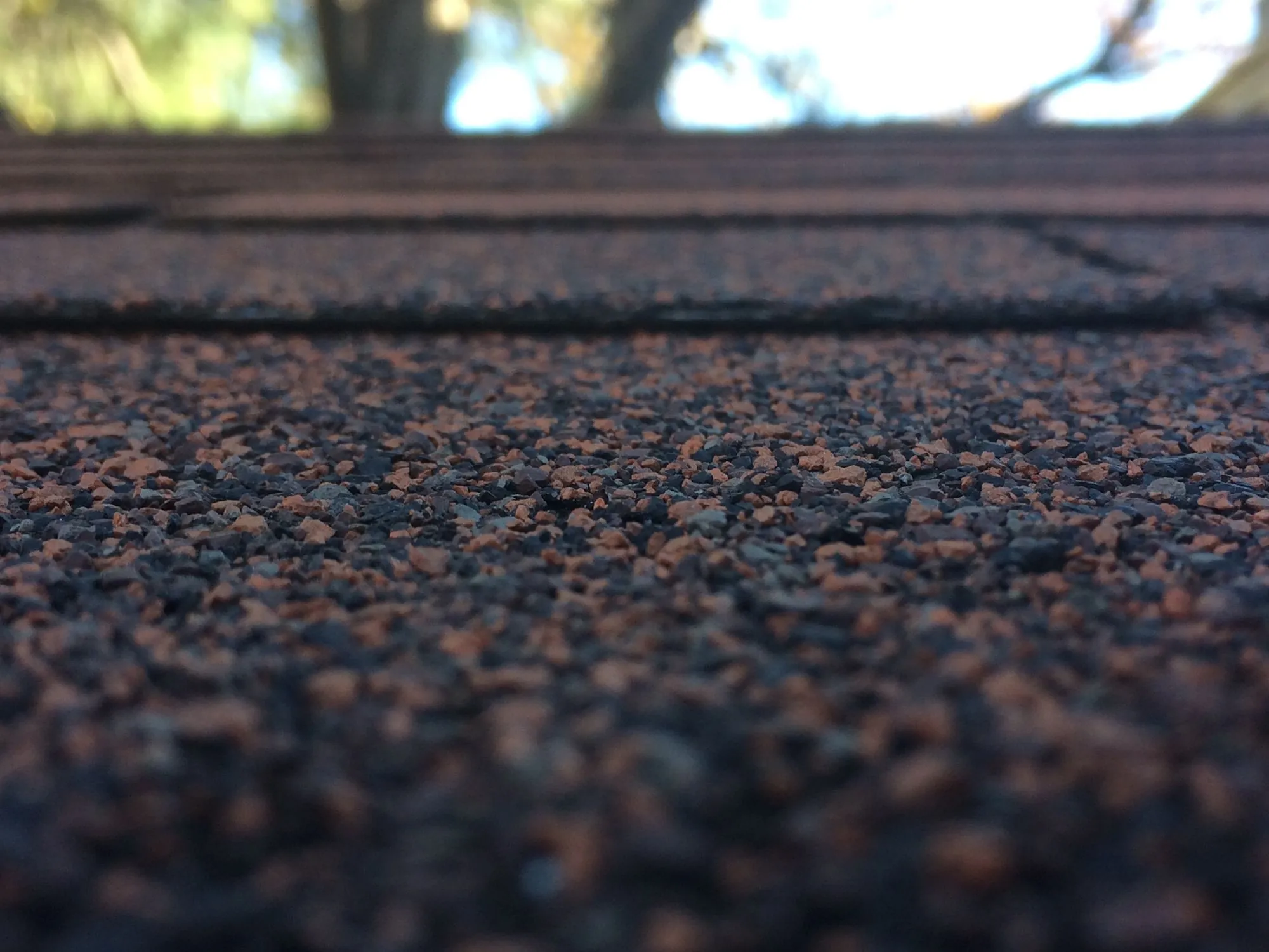 A close view of the granule surface of an asphalt shingle roof